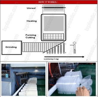 Cheap Quality Plastic Water Milk Coffee Tea Cup Tilting Mould